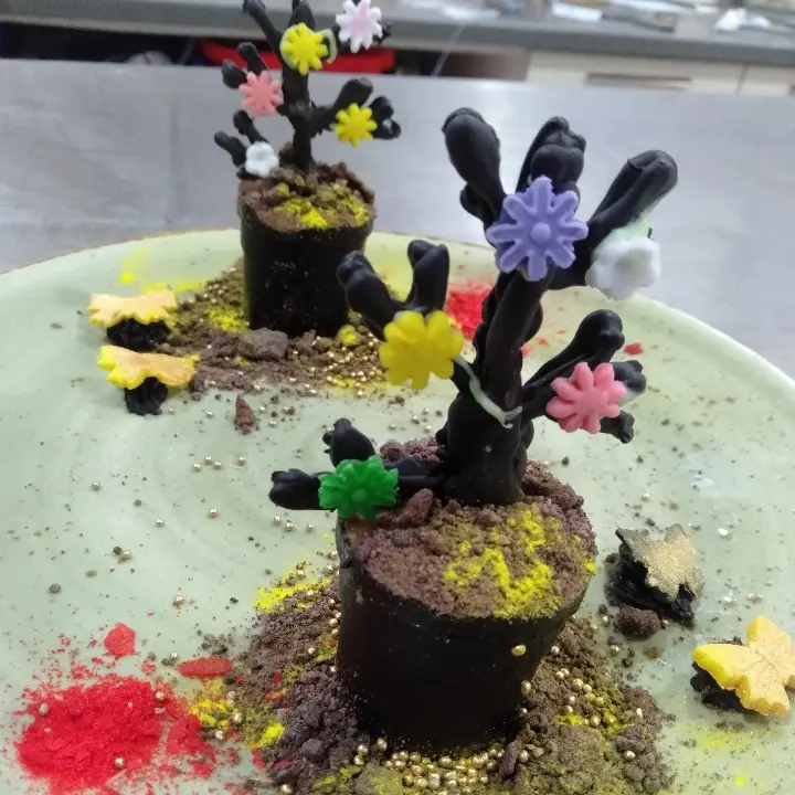creation thumb for Tiramisu pot