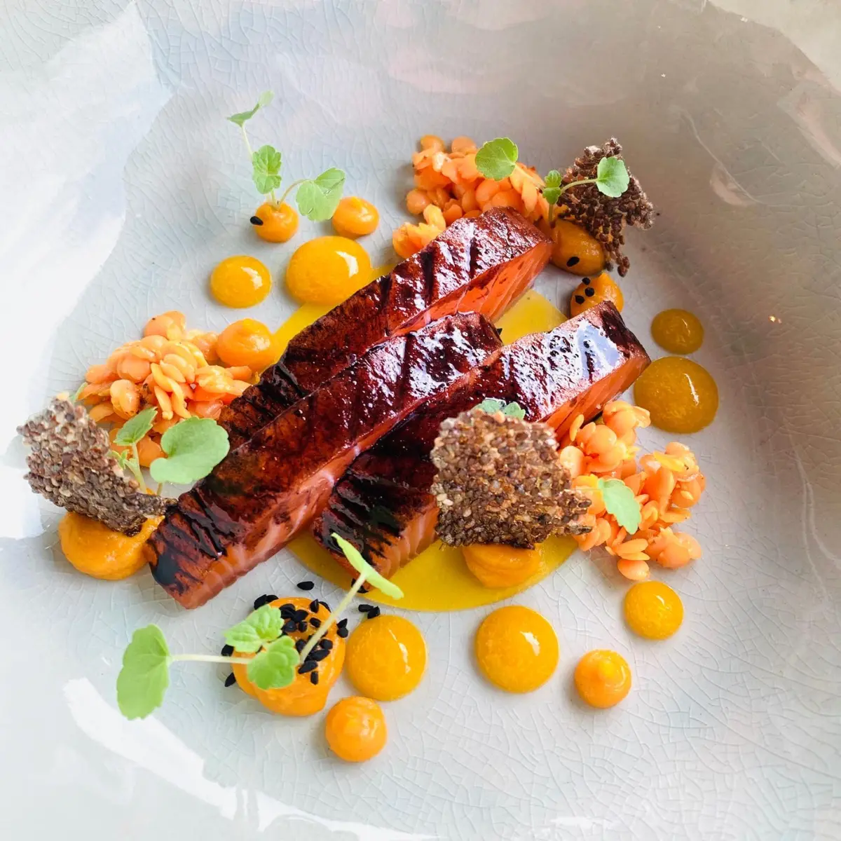 creation thumb for Salmon | Licorice | Tangerine | Lentil | Chia