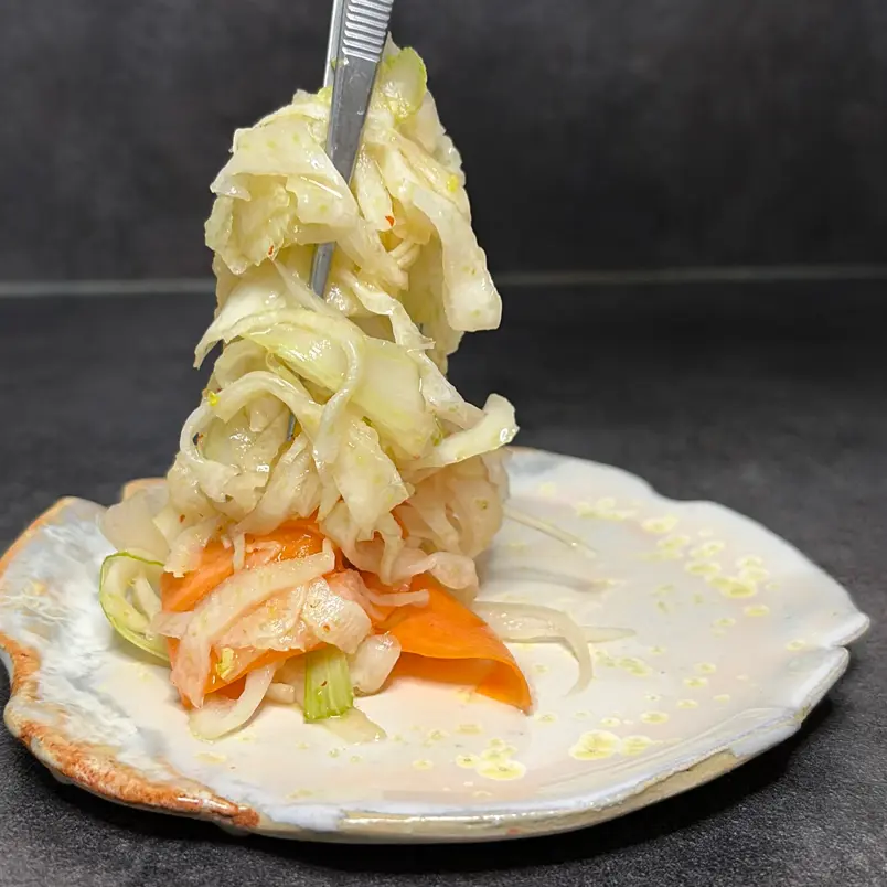 creation thumb for Kimchi Fennel 