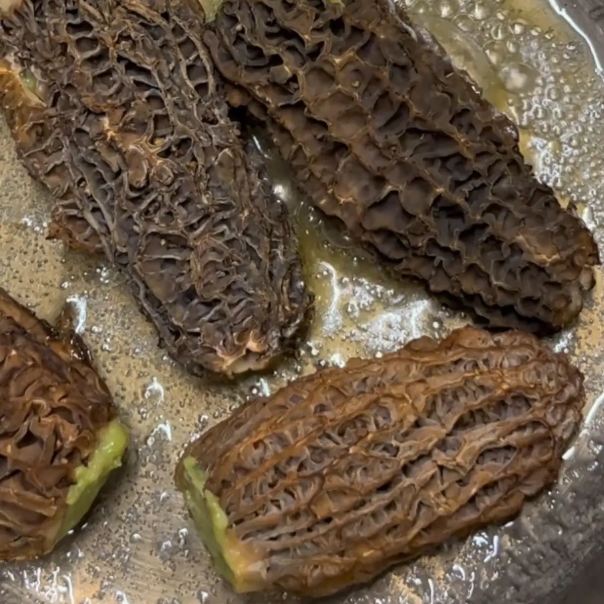 creation thumb for Stuffed Morels and Chicken Jus
