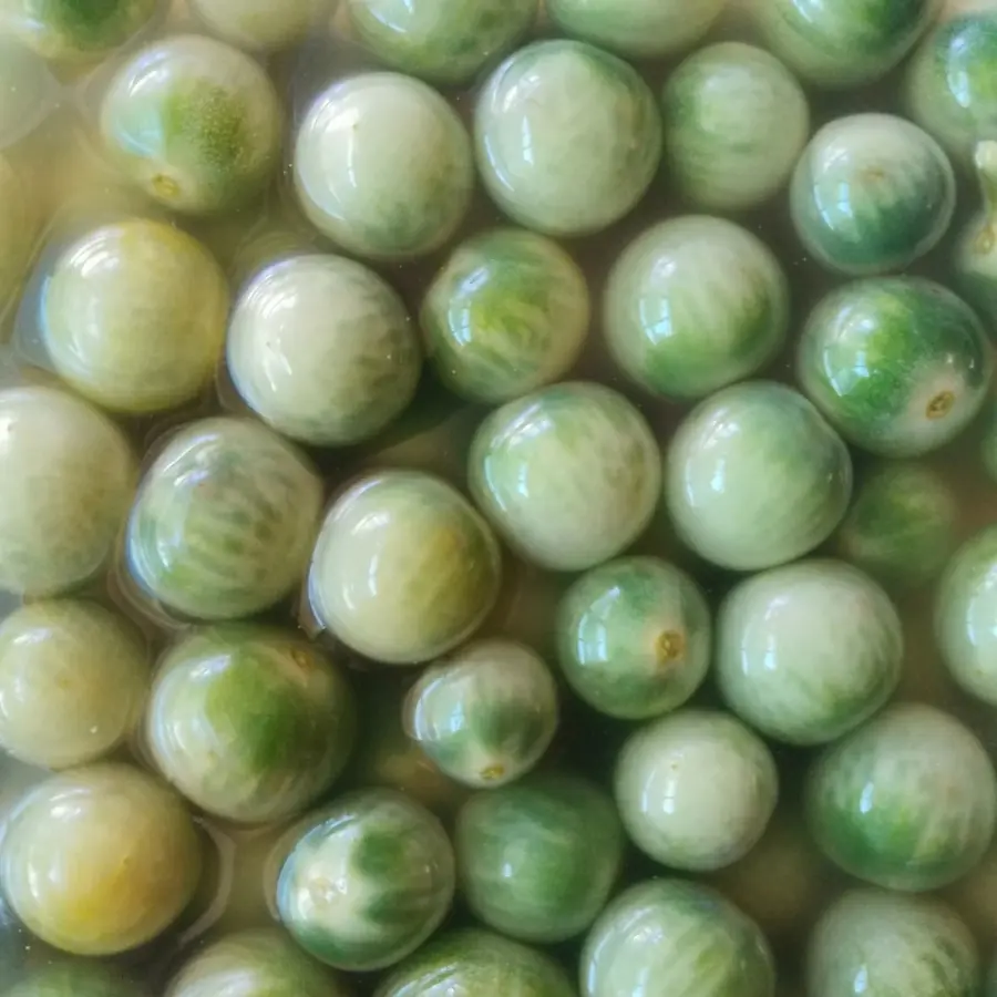 creation thumb for Garden green tomatoes pickled in honey vinegar