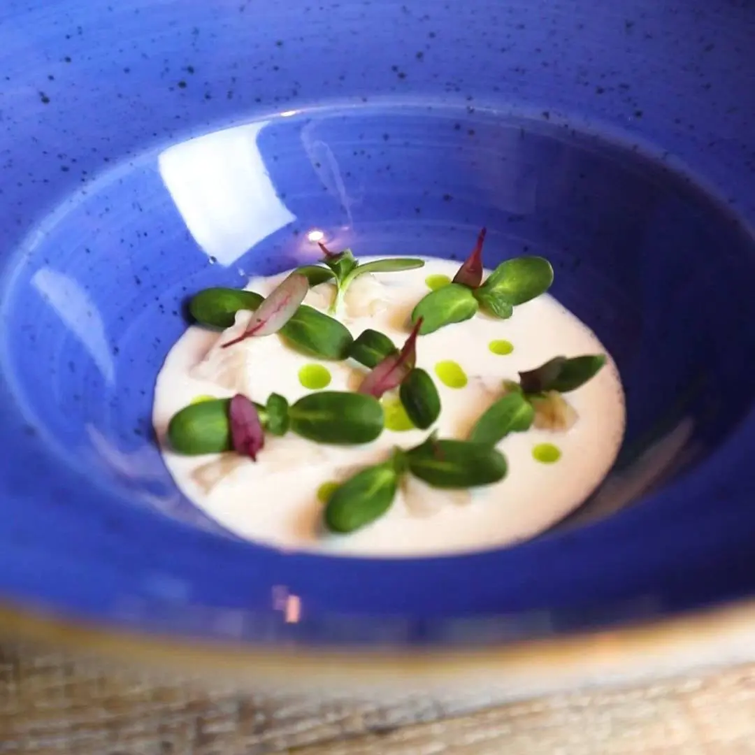 creation thumb for Poached zander with yogurt cream & lime and parsley oil