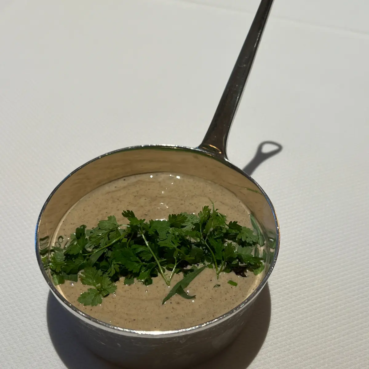 creation thumb for Morrel Bearnaise