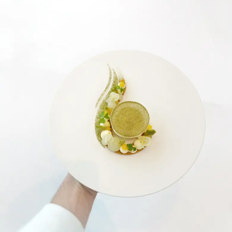 creation thumb for Citrus Pine Chartreuse
