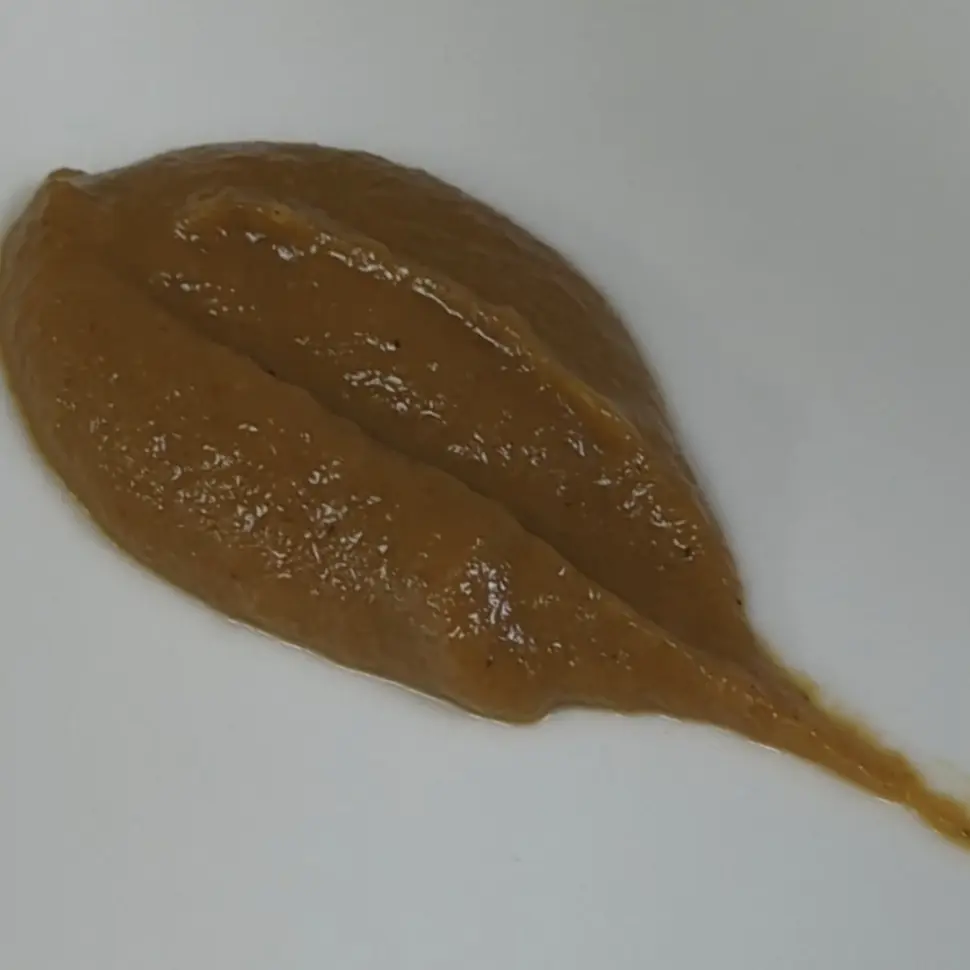 creation thumb for Caramelized onion puree