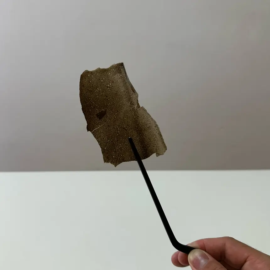 creation thumb for Crunchy cassava and cuttlefish ink