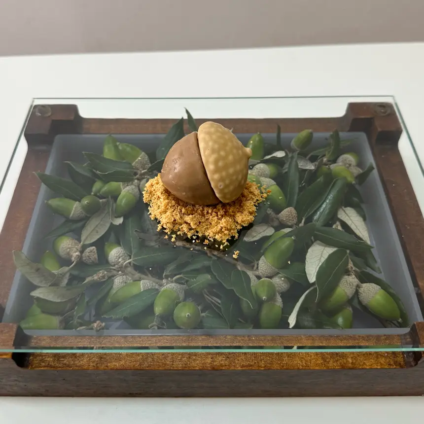 creation thumb for Acorn stuffed with chestnut and chocolate