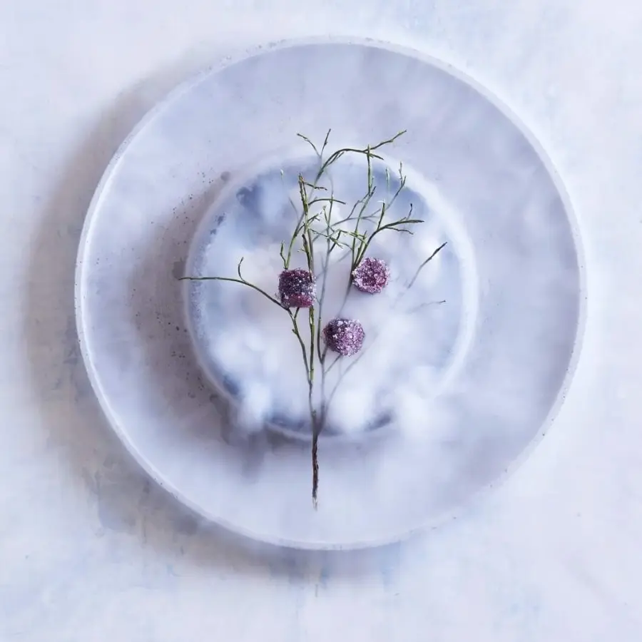 creation thumb for Forest berries pate fruit. A dish for my cookbook