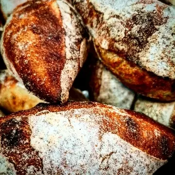 creation thumb for Sourdough