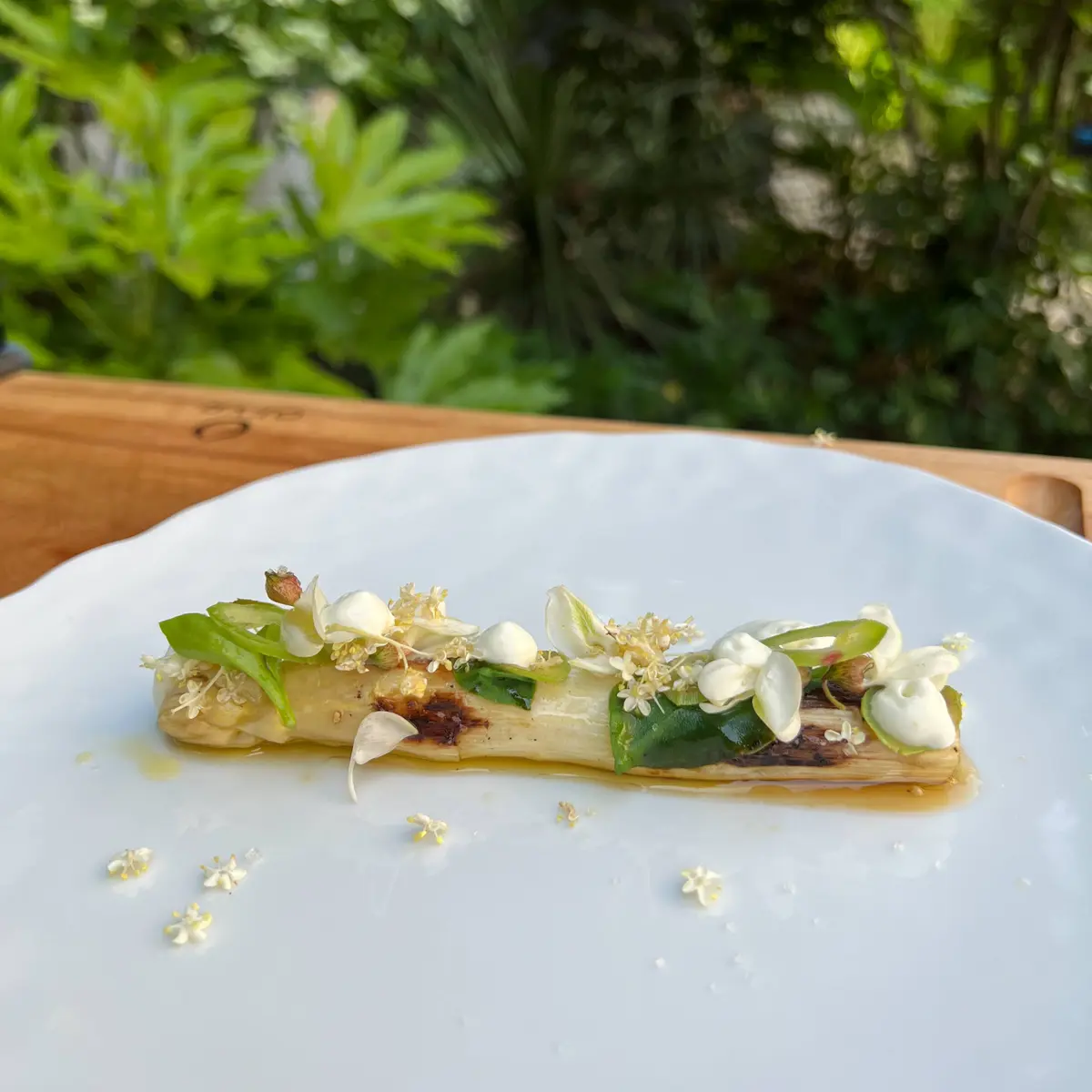 creation thumb for Grilled white asparagus, fromage blanc & acacia flowers foam
