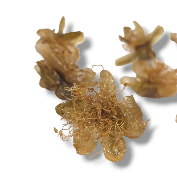 creation thumb for Fried Capers