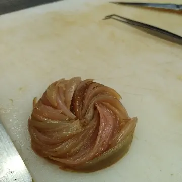 creation thumb for Shallot