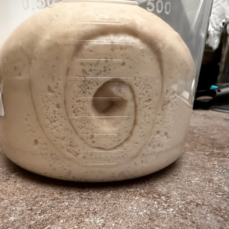 creation thumb for Sourdough Starter