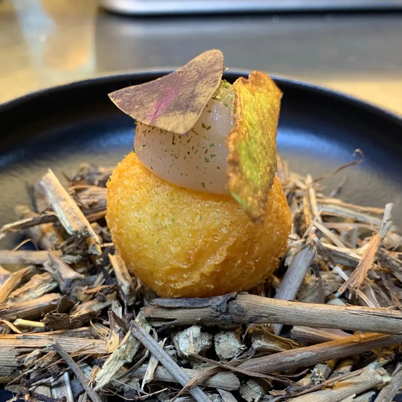 creation thumb for DONUT / PECORINO & PERA / LEMON / OXALIS