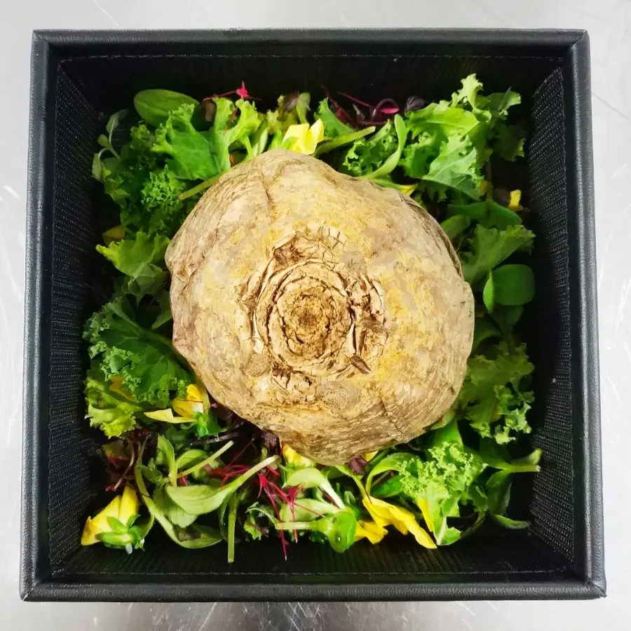 creation thumb for Roasted White Beetroot,coconut and amarant.