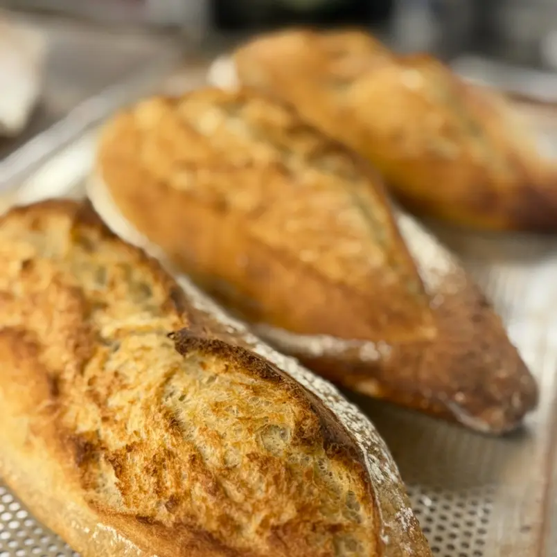 creation thumb for Sourdough Bread