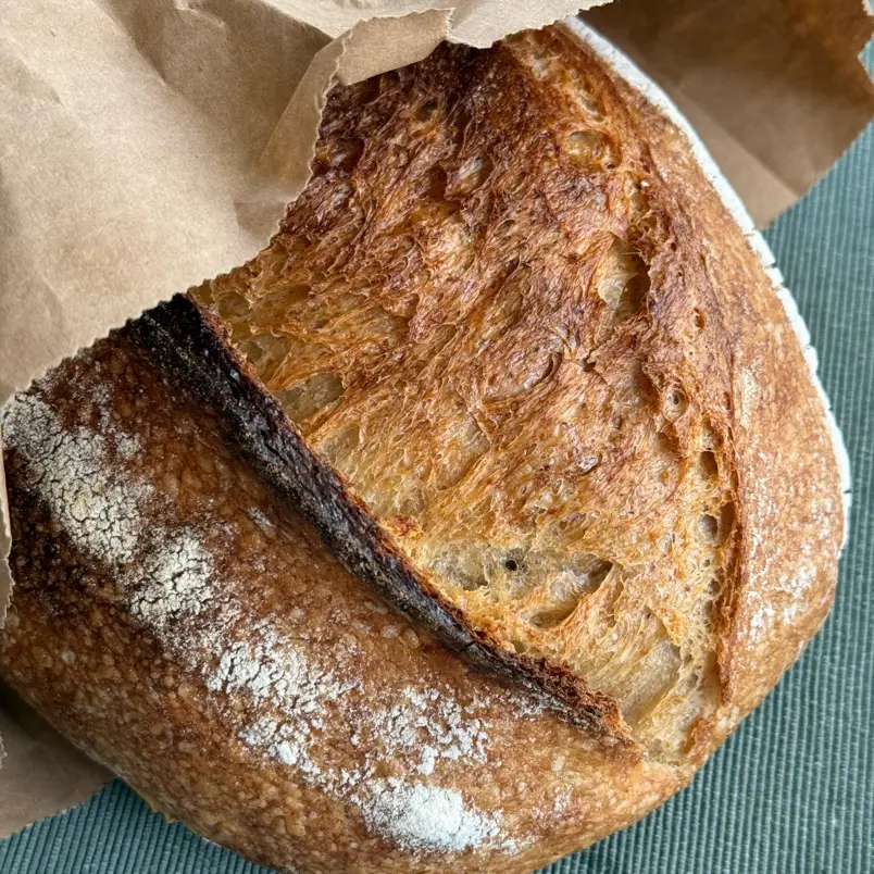 creation thumb for Sesame Sourdough bread
