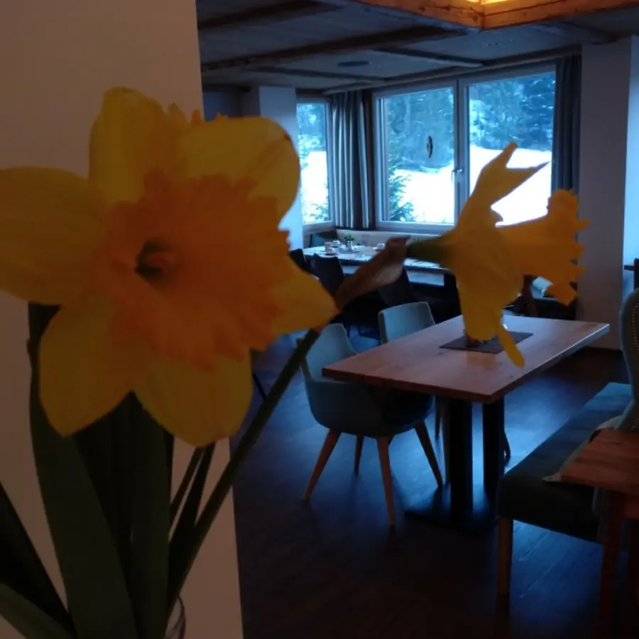 creation thumb for Restaurant