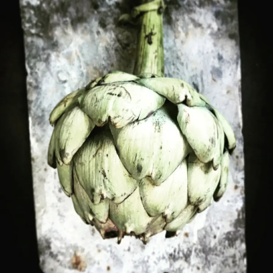 creation thumb for Artichokes 
