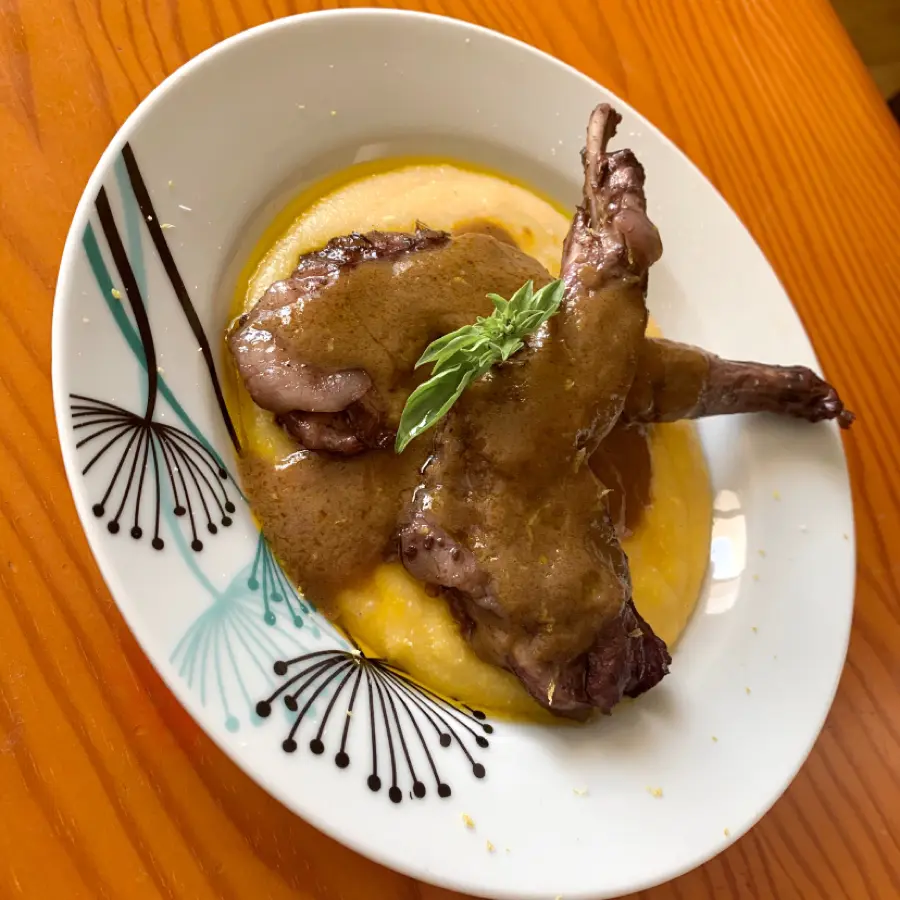 creation thumb for Conejo en salsa de vino tinto con Polenta ❤️