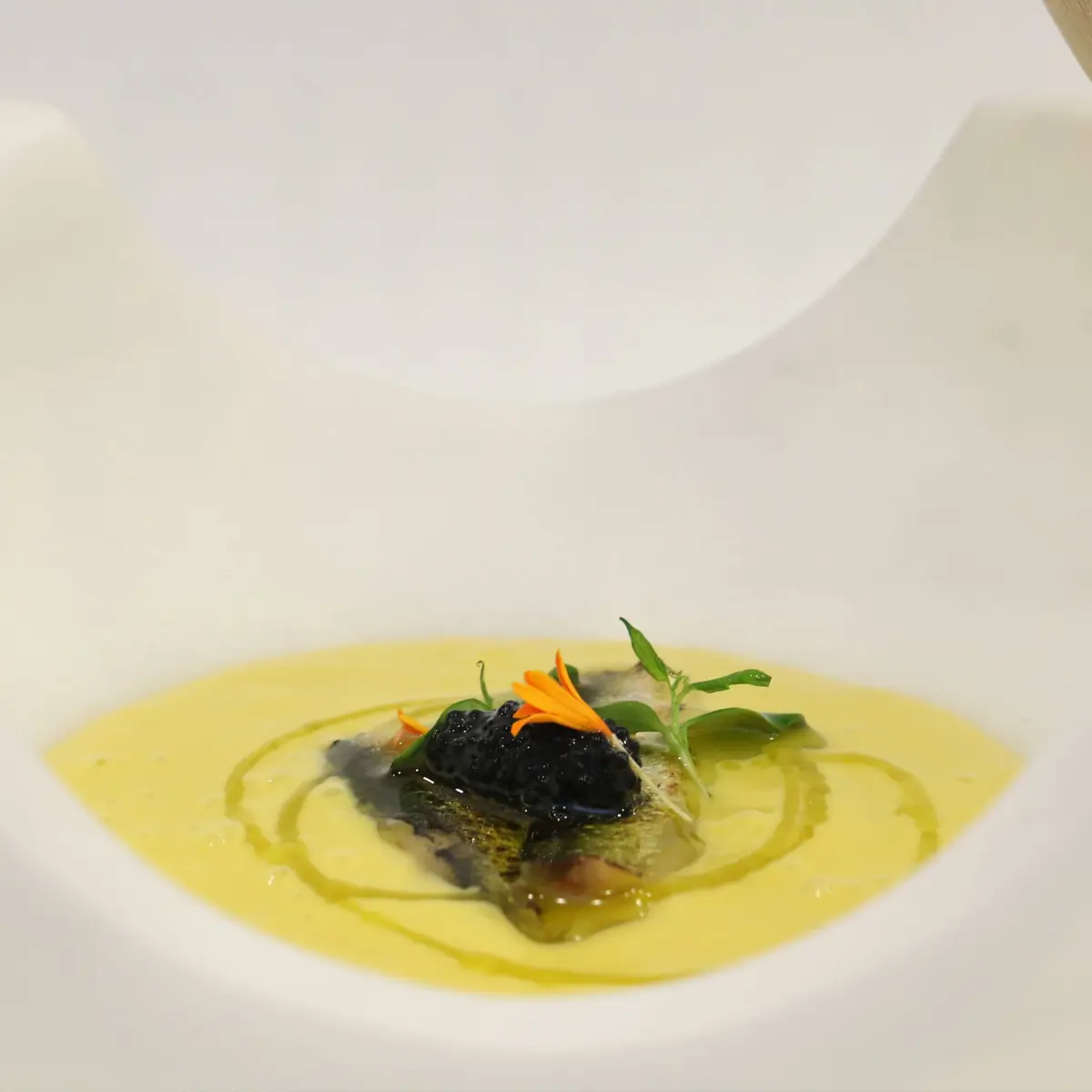 creation thumb for Mango Gazpacho, Sardines and Mujol Roe With EVOO