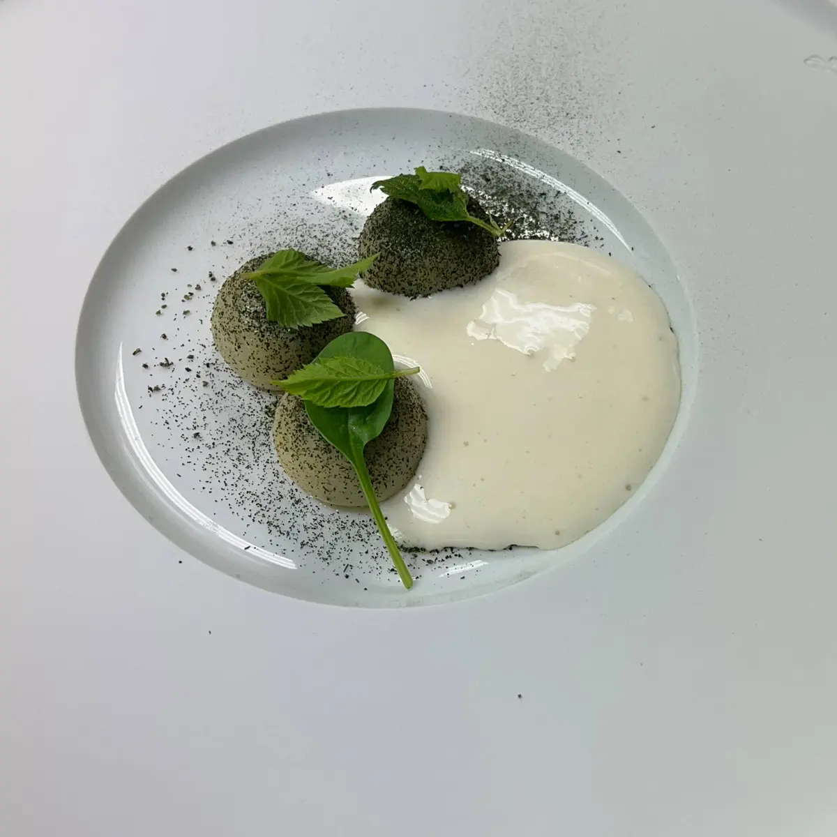creation thumb for Nettle Gnocchi