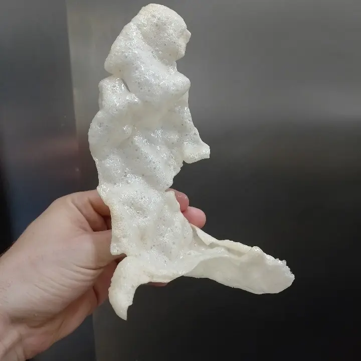 creation thumb for Chicken chip