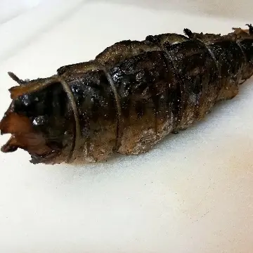 creation thumb for Mackerel's porchetta