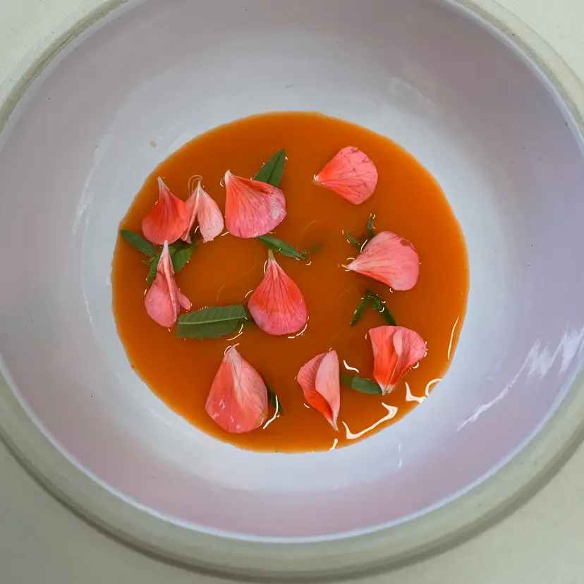 creation thumb for Cold-Fermented Carrot Soup