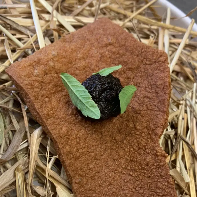 creation thumb for Fermented Black Mandarin Compote 🍊