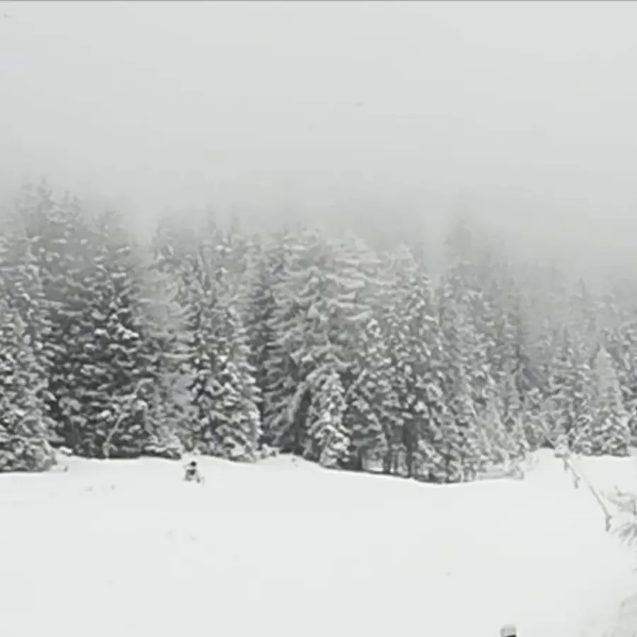 creation thumb for Wintersaison 2019 l2020