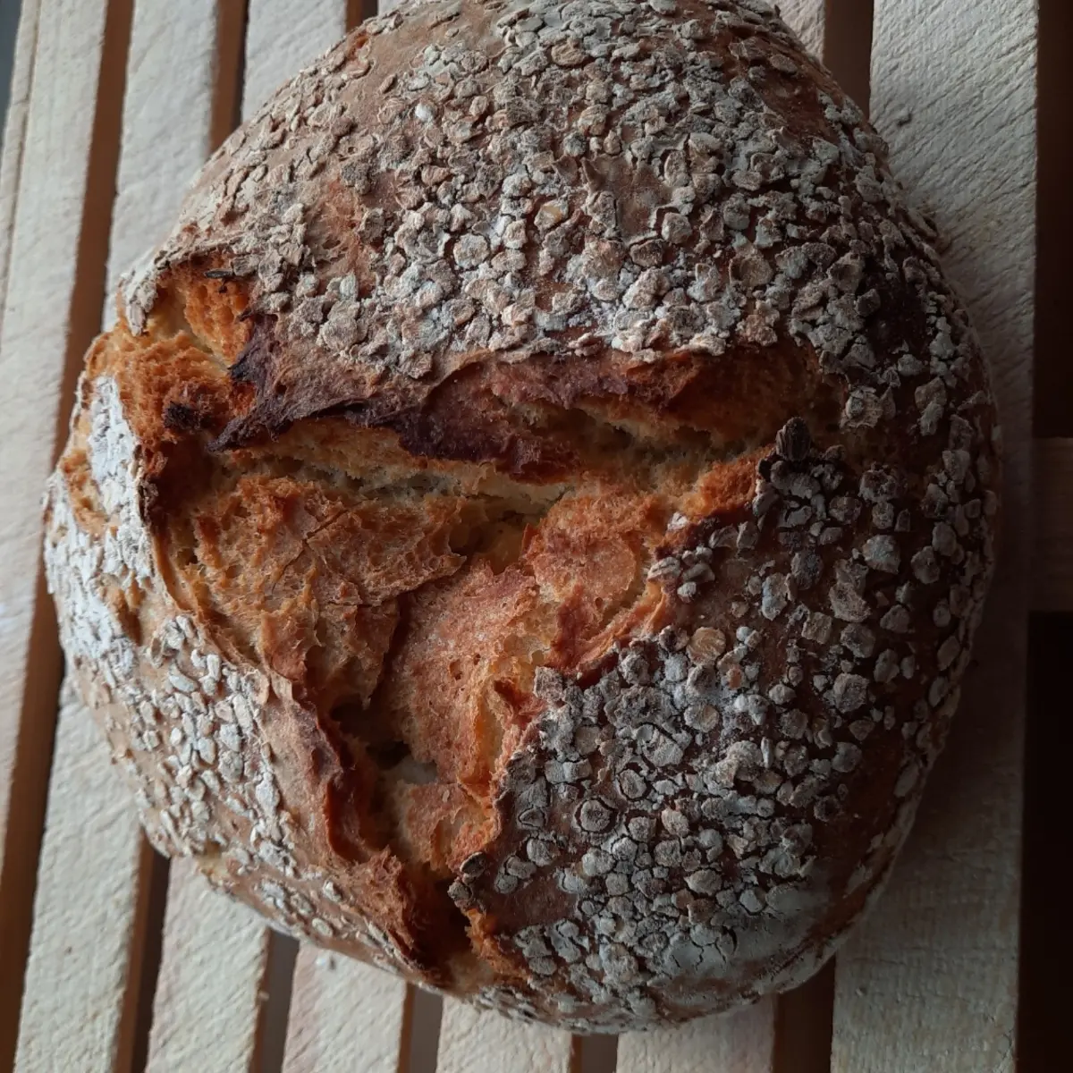 creation thumb for Sourdough Bread..