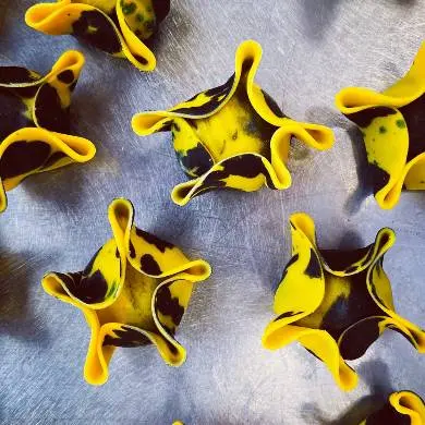 creation thumb for Black & Yellow Pasta (hazelnut raviolo) 