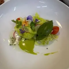 creation thumb for Antipasto in Grün
