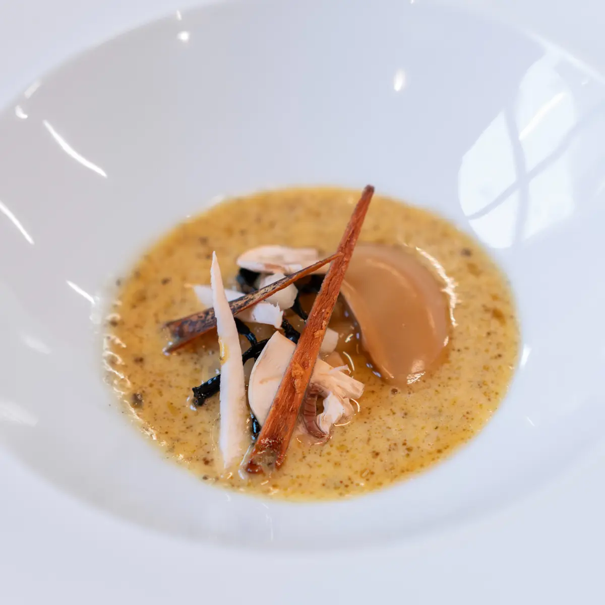 creation thumb for Cep | Salsify | Pumpkin Miso