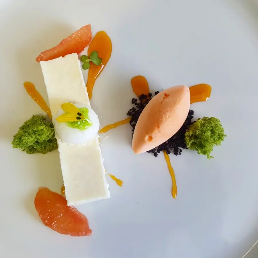 creation thumb for #coconutpanacotta #carrot_orangesorbet #basilspongecake #dessert #oreo #foodphotography #cheflife