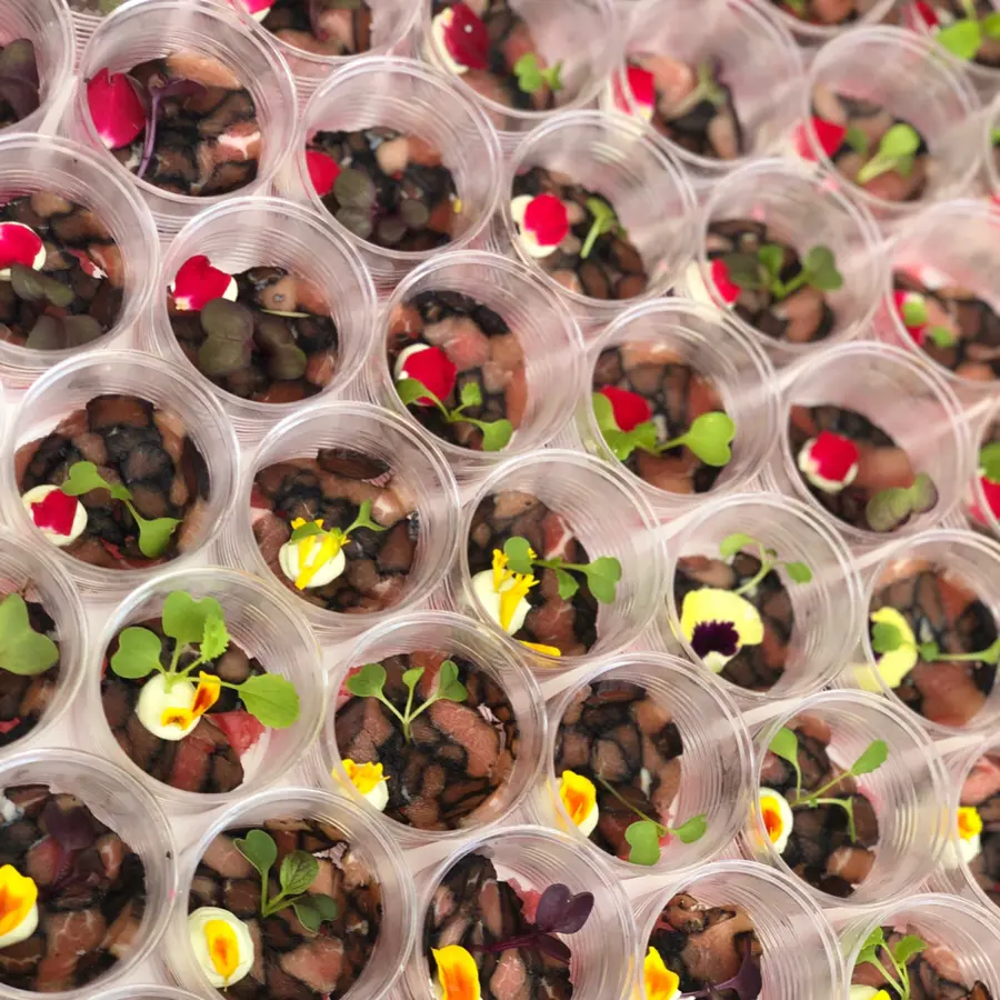 creation thumb for Luxury catering food