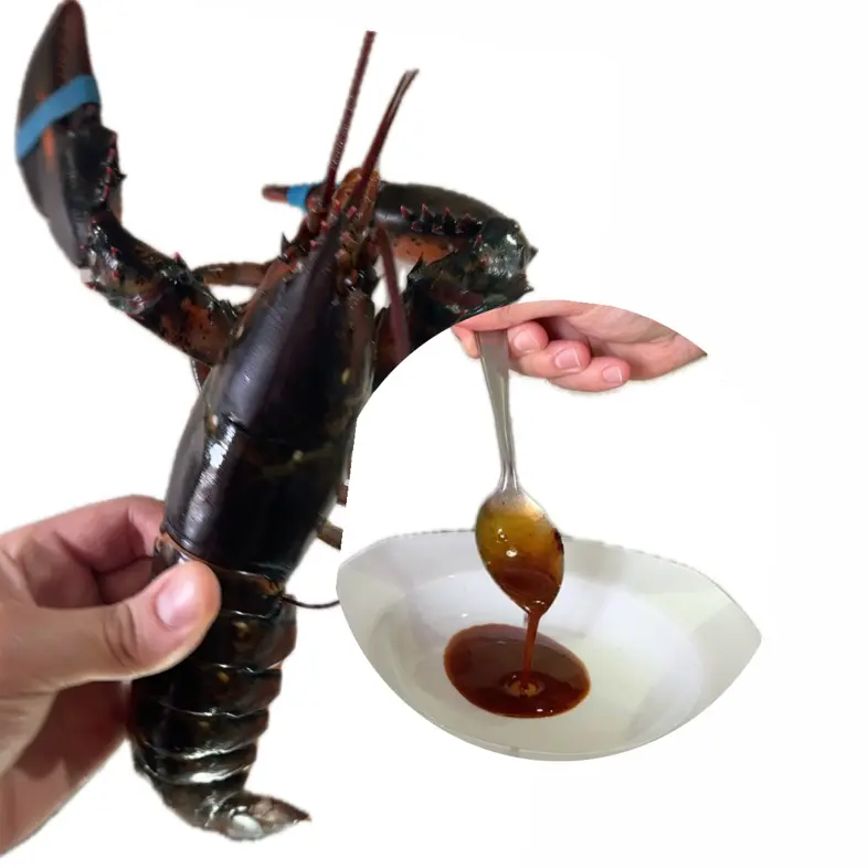 creation thumb for Lobster Bisque (Cleaning, Cooking, and Reduction)