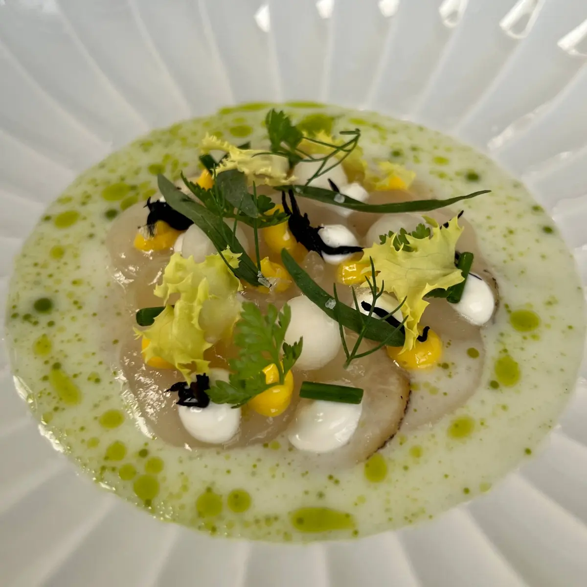 creation thumb for St. Jacques, Kimitzu and Buttermilk Dashi