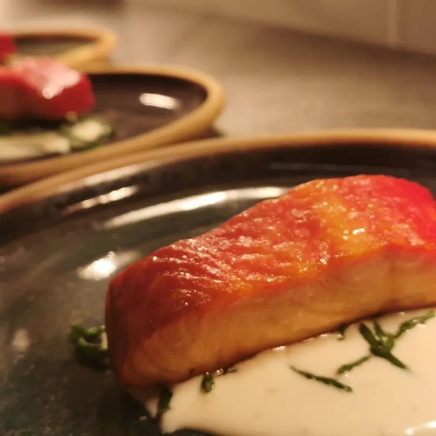 creation thumb for Gin and beetroot cured salmon with samphire and horseradish cream sauce