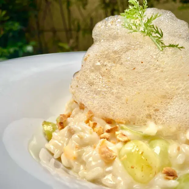 creation thumb for Ziegenkäse-Trauben Risotto, karamellisierte Haselnüsse und Schaum aus Süßem Senf