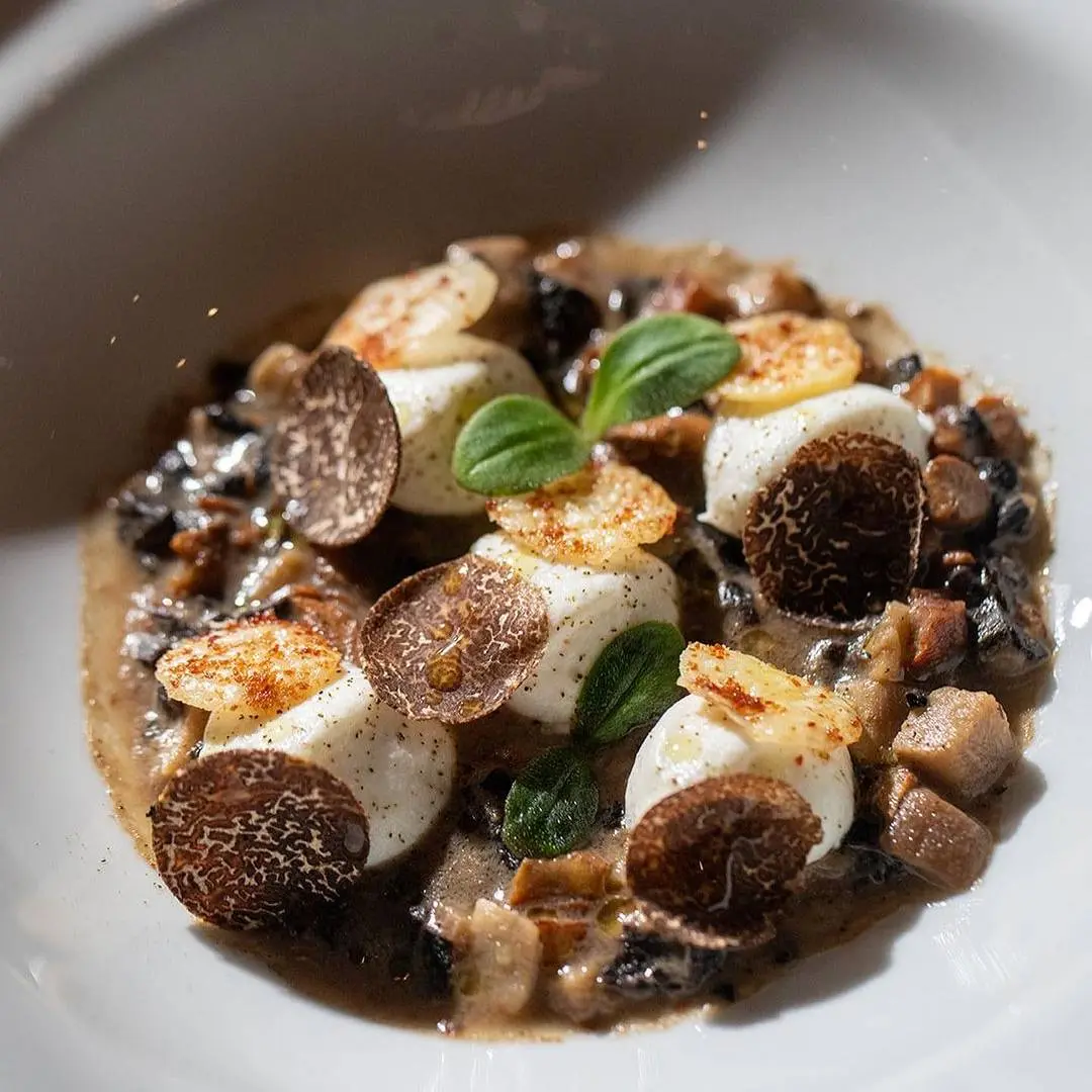 creation thumb for Porcini, Chanterelle & Trumpet Soup w/ Buffalo Ricotta