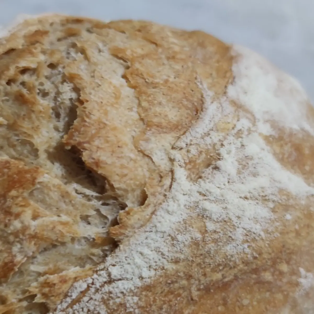 creation thumb for Pane antico