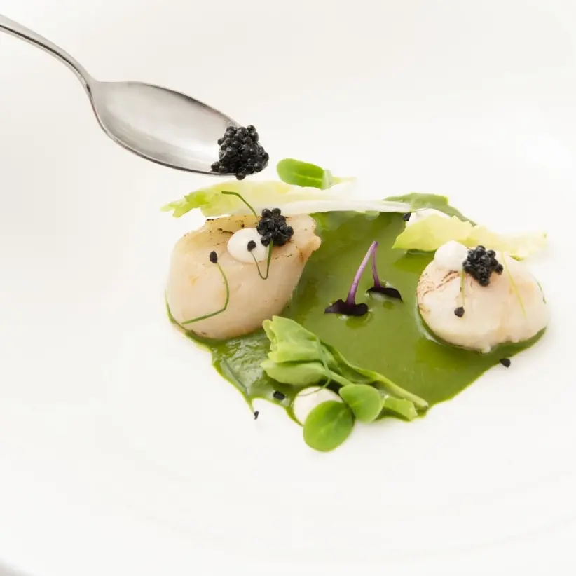 creation thumb for Scallops with escarole cream, pine nuts and caviar