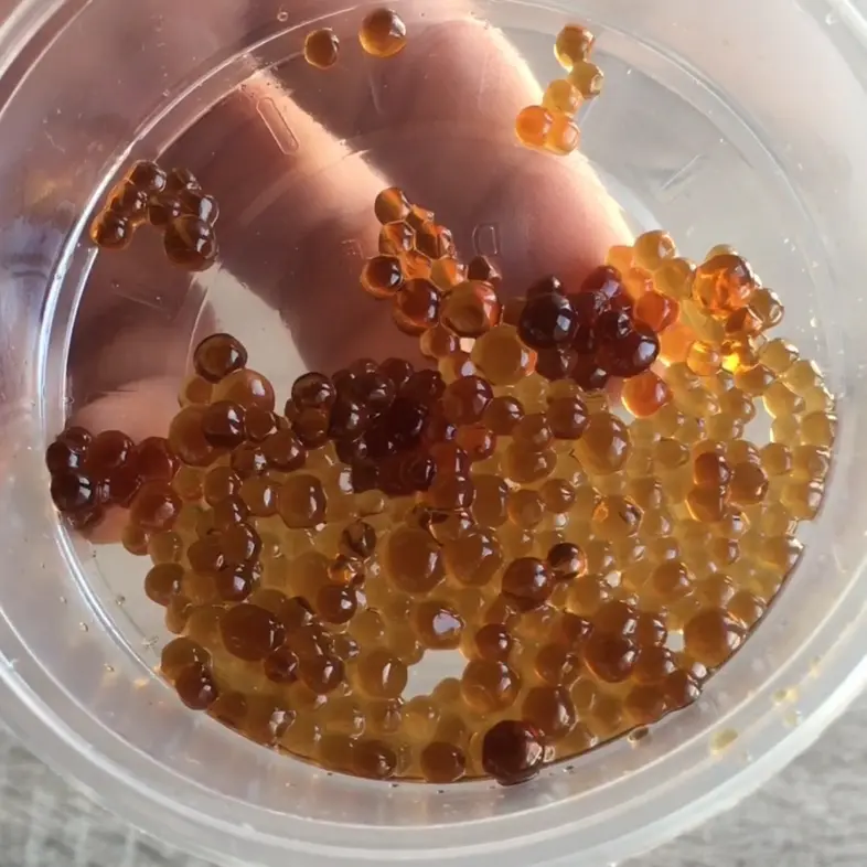 creation thumb for Caviar with Kappa, Agar & Gelatin