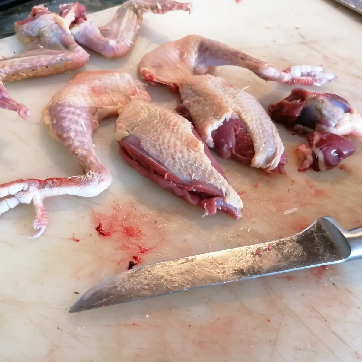 creation thumb for Squab from central Italy country