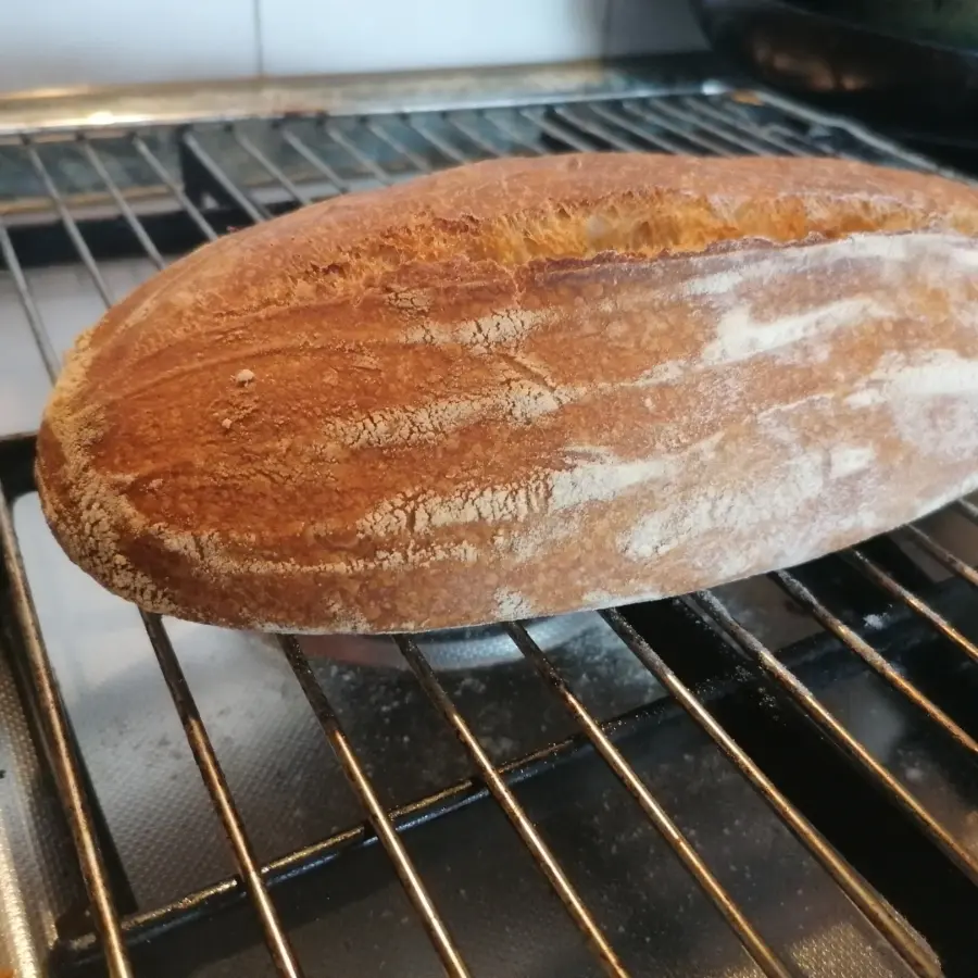 creation thumb for BREAD! BREAD!! BREAD!!! Sourdough quarantine bread🥖