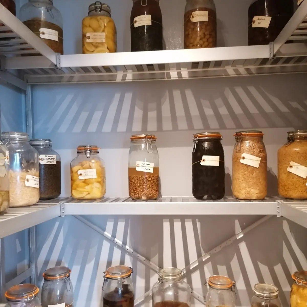 creation thumb for Pickles and fermented