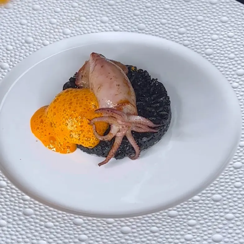 creation thumb for Crab  stuffed squid, black risotto, piquillo sauce