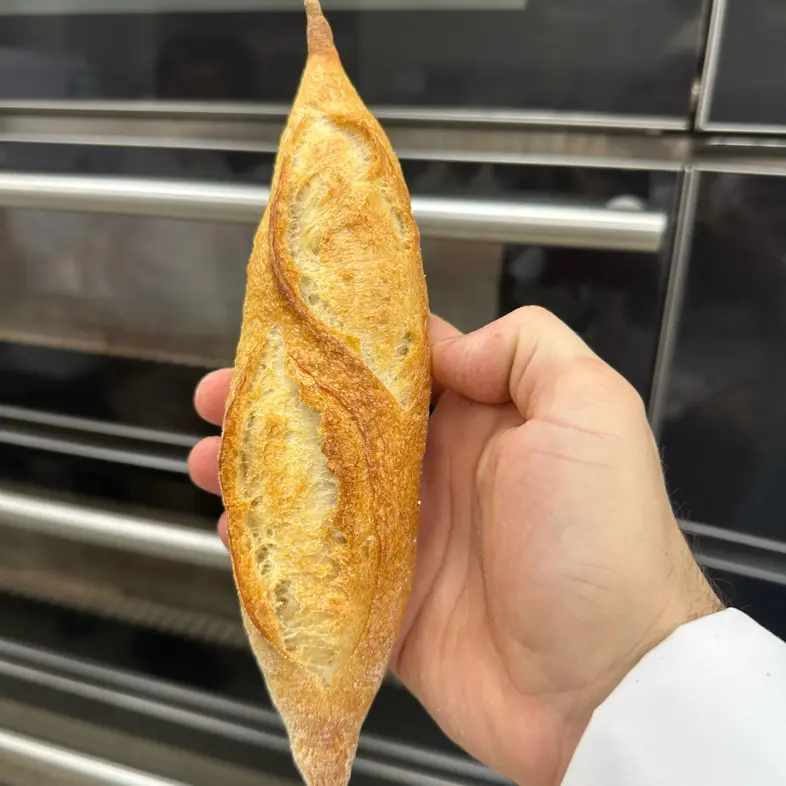 creation thumb for Baguette Training Session